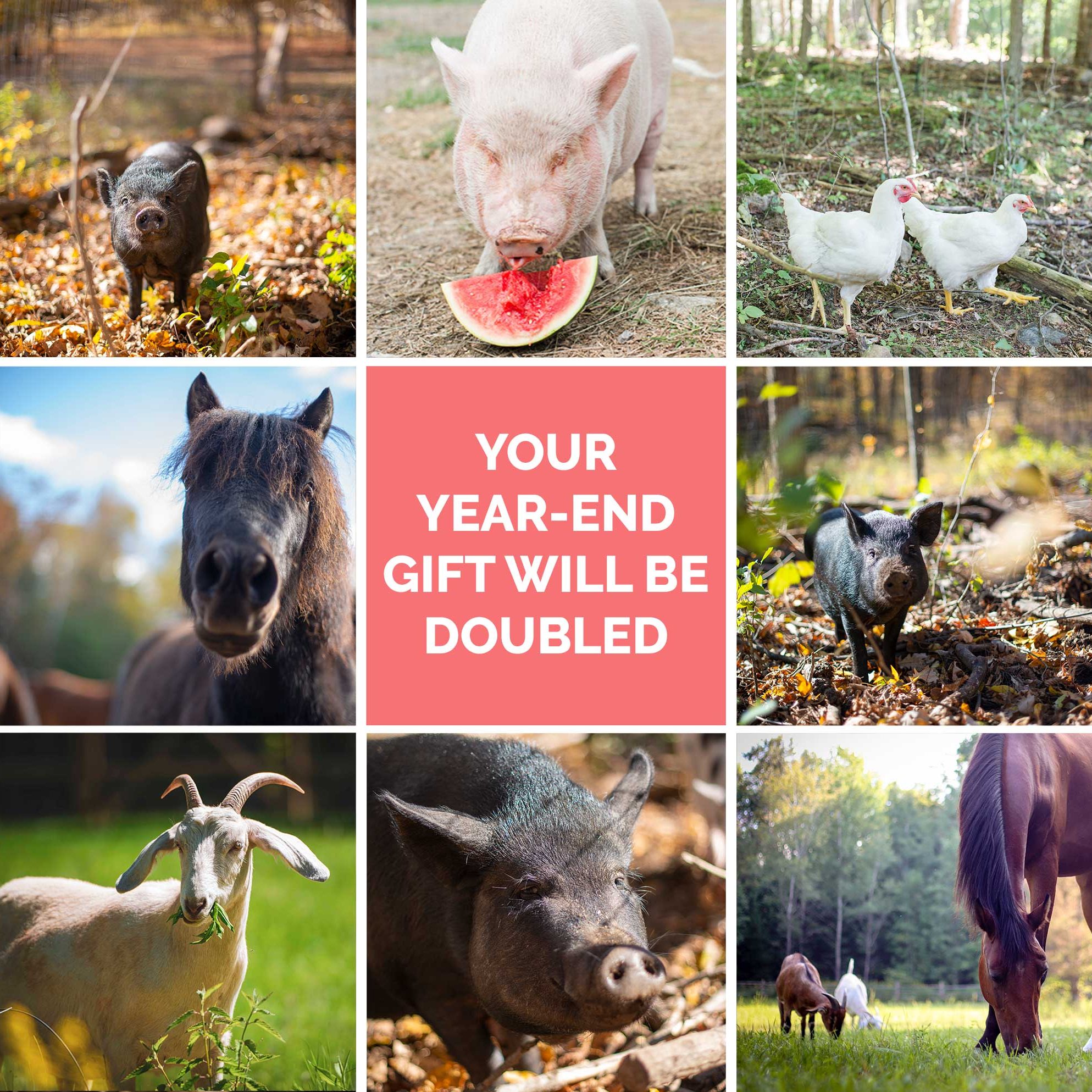 Year-end-campaign Year-end-campaign